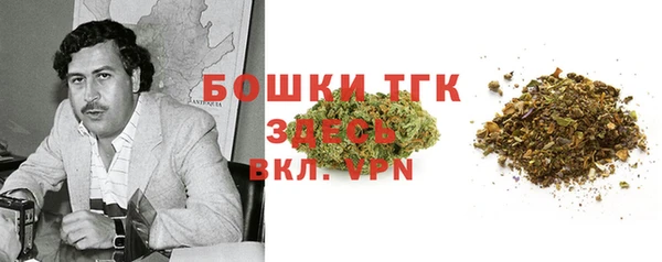 метадон Алексин