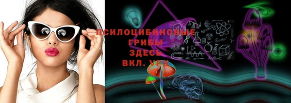 spice Алексеевка