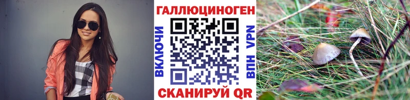 Псилоцибиновые грибы MAGIC MUSHROOMS  Харовск 